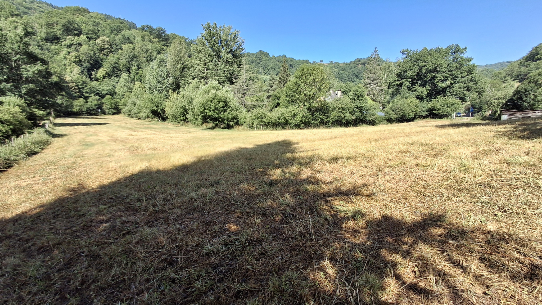 TERRAIN A BATIR 6000M2 - VILLECOMTAL